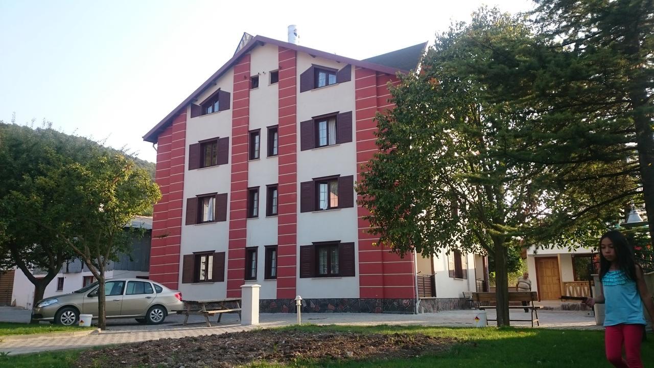 Mekan Ilica Apart Otel Karacasu  外观 照片